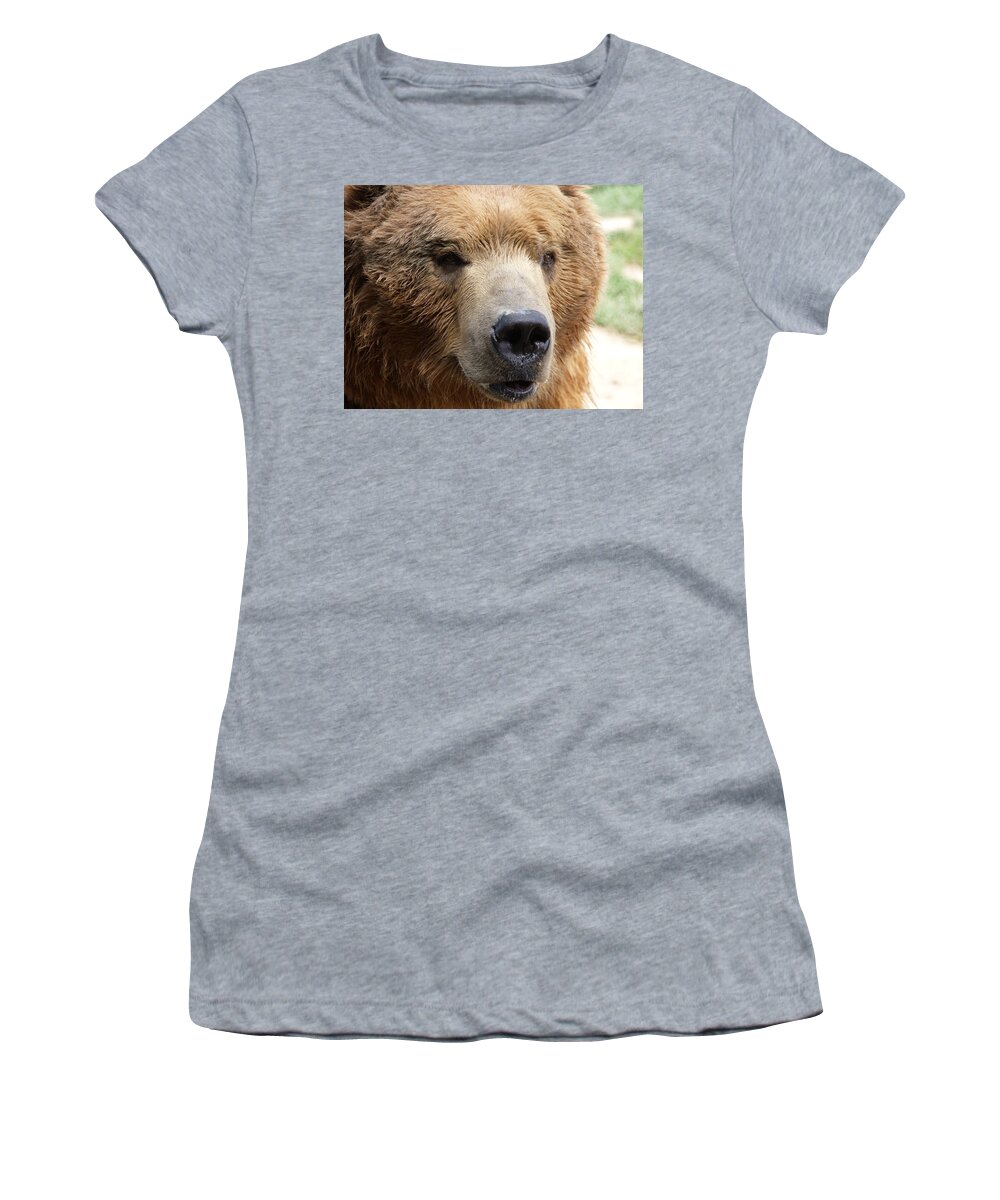 Animal Women's T-Shirt featuring the photograph Bear by Tara Krauss