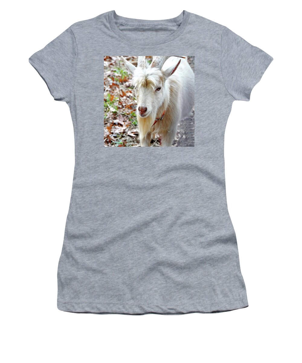 Goat Women's T-Shirt featuring the photograph Beautiful Goat by Lyuba Filatova