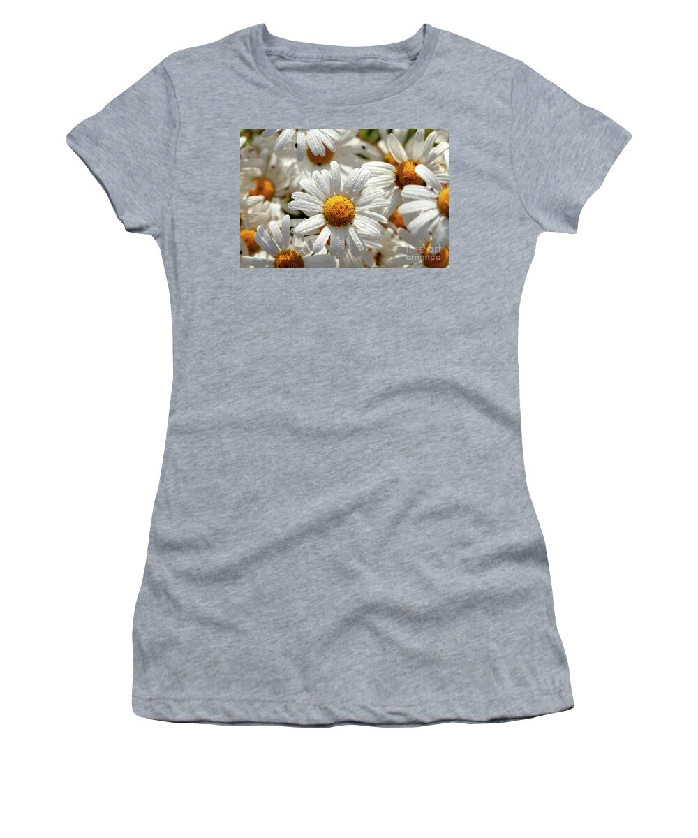 Daisies Women's T-Shirt featuring the photograph Beautiful large wild daisies with water drops by Simon Bratt
