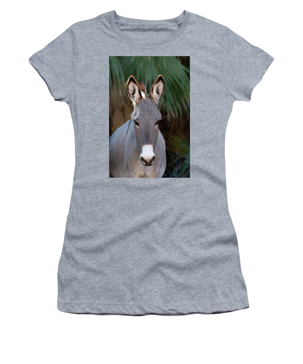Wild Burro Women's T-Shirt featuring the photograph Beauty in the Palms by Mary Hone