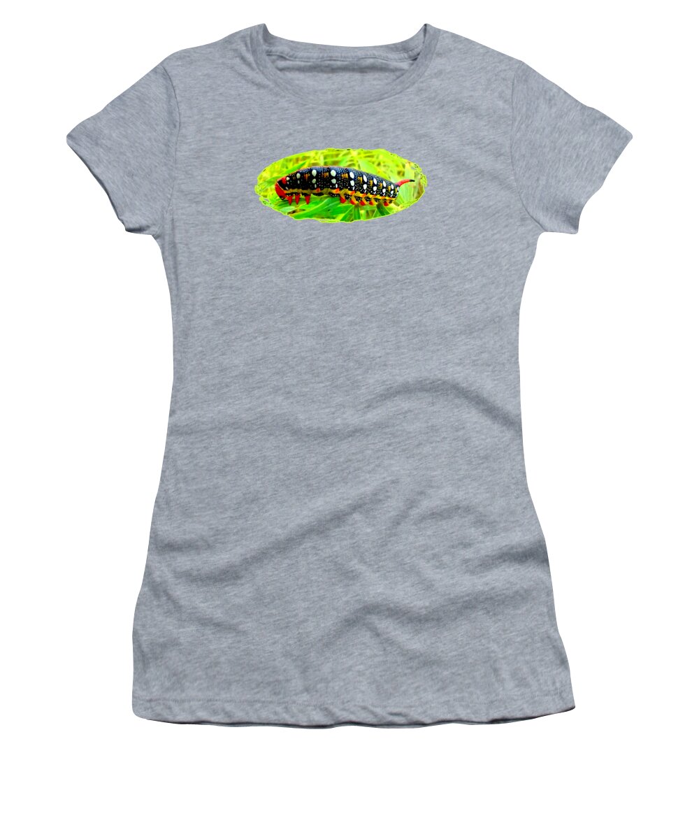 Bedstraw Women's T-Shirt featuring the photograph Bedstraw hawk moth caterpillar, Hyles gallii by Delynn Addams