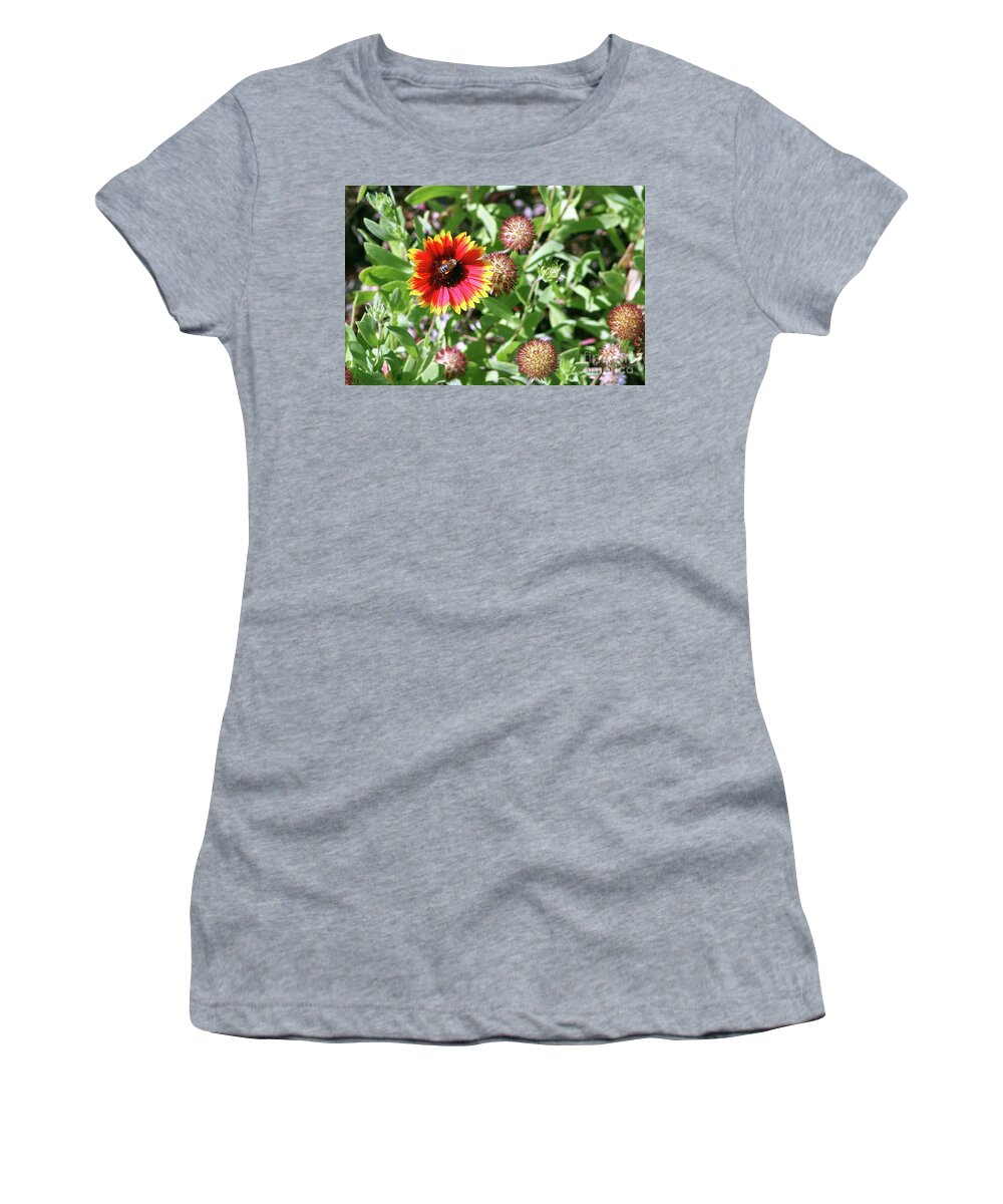 Bee Women's T-Shirt featuring the photograph Bee Flower by Mary Mikawoz