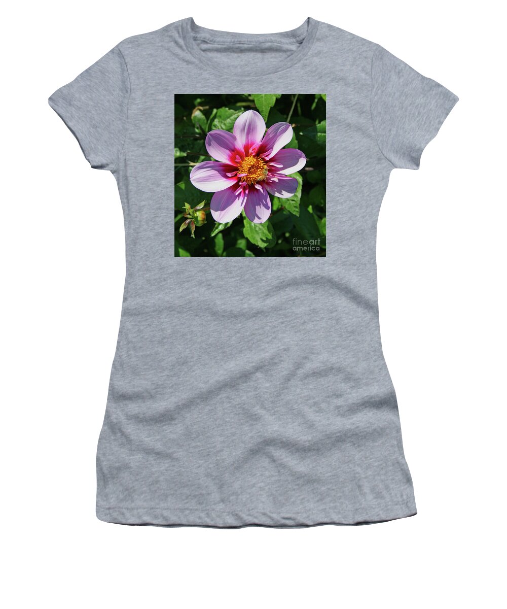 Bee Visits Flower By Norma Appleton Women's T-Shirt featuring the photograph Bee Visits Flower by Norma Appleton
