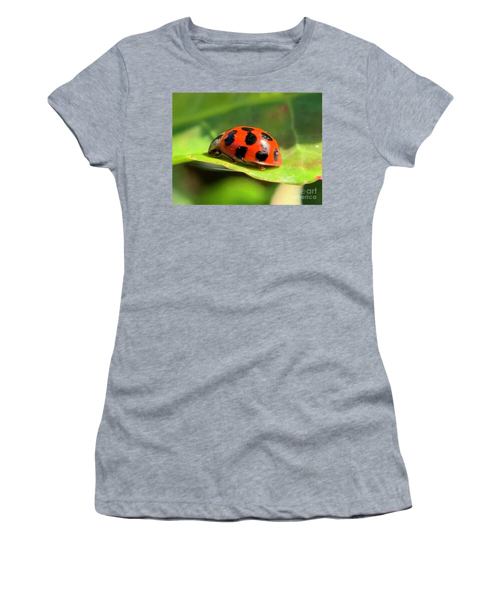 Beetle Women's T-Shirt featuring the photograph Beetle Beauty by Catherine Wilson