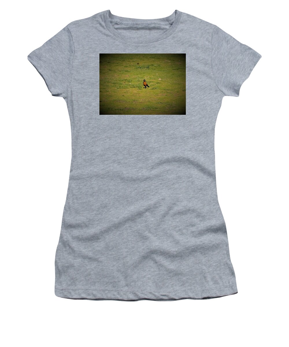 Cardinal Women's T-Shirt featuring the photograph Bird in the park by James Cousineau