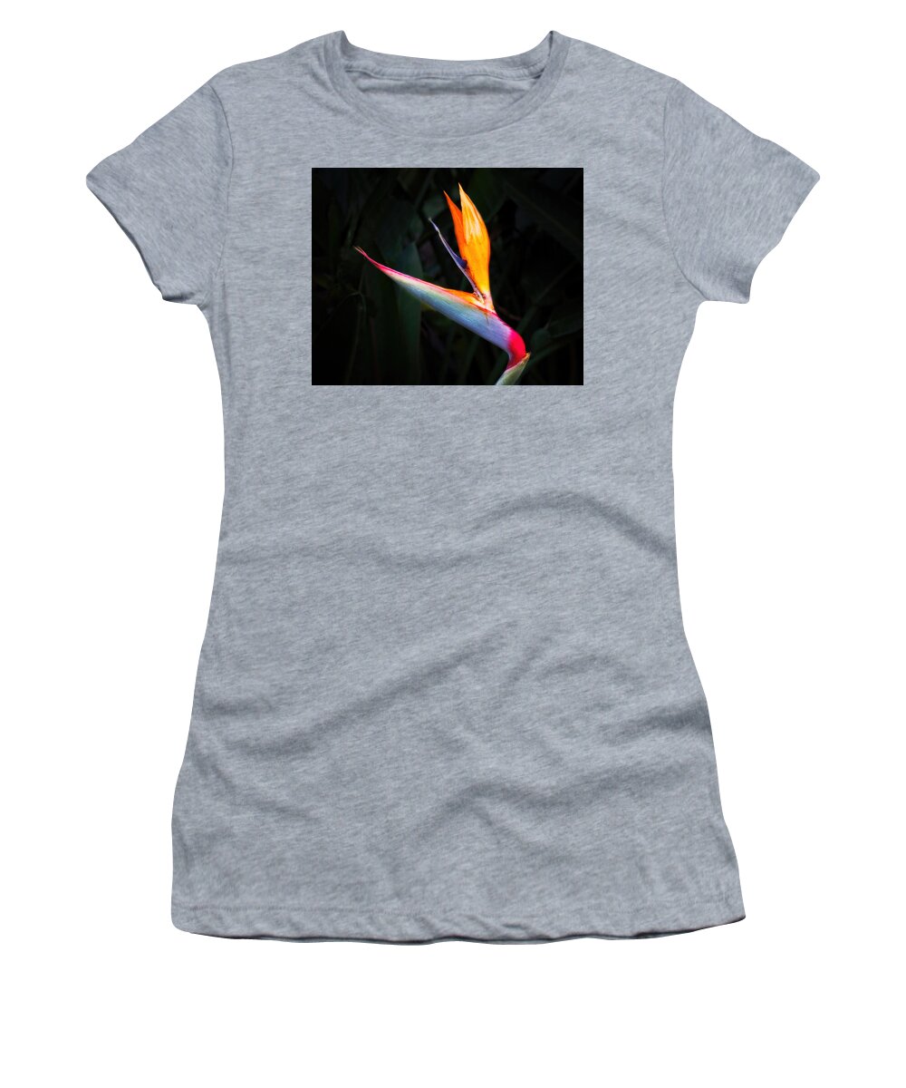 Red Women's T-Shirt featuring the photograph Bird of Paradise by Rudy Umans