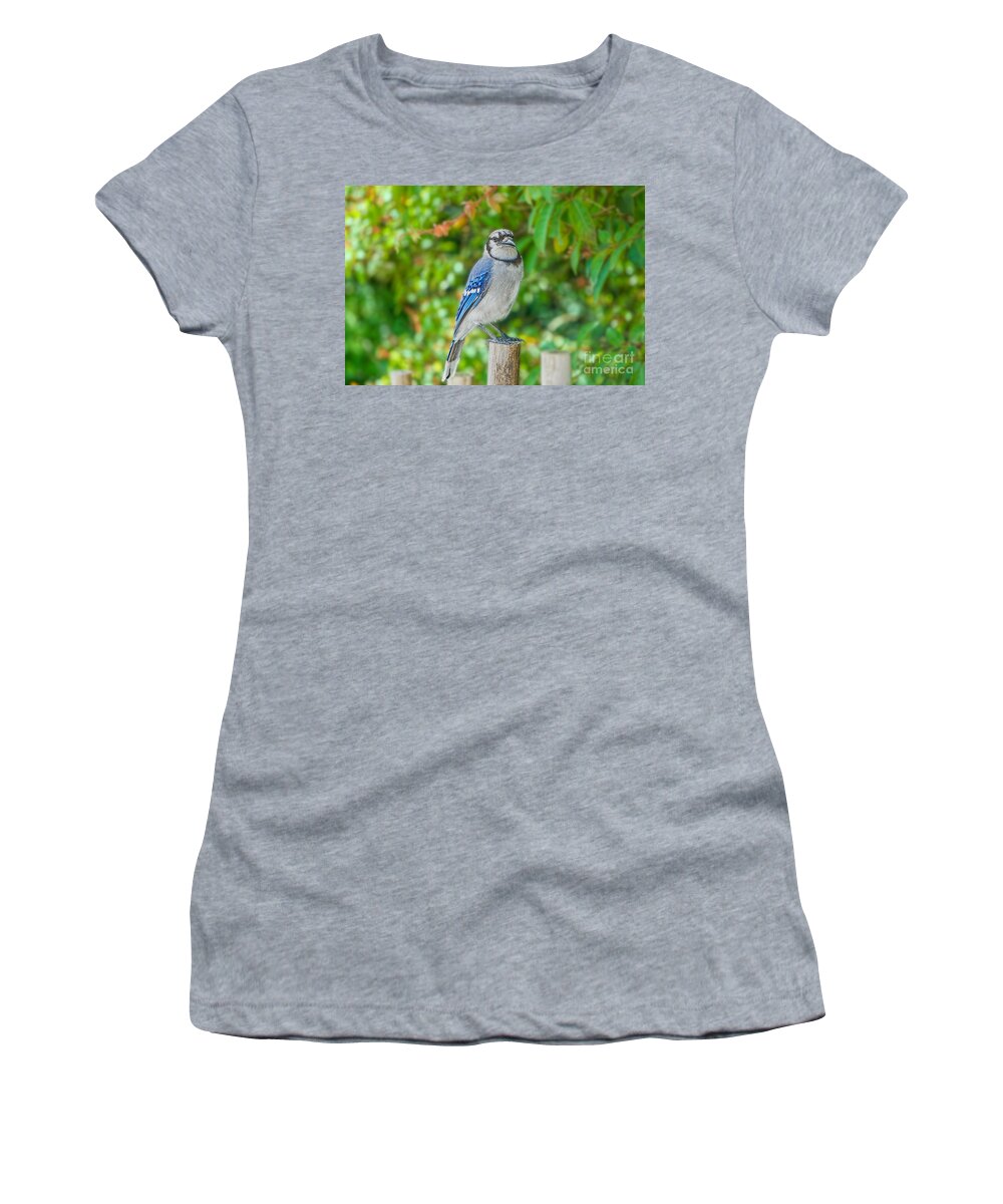 Birds Women's T-Shirt featuring the photograph Bird on the Fence by Judy Kay
