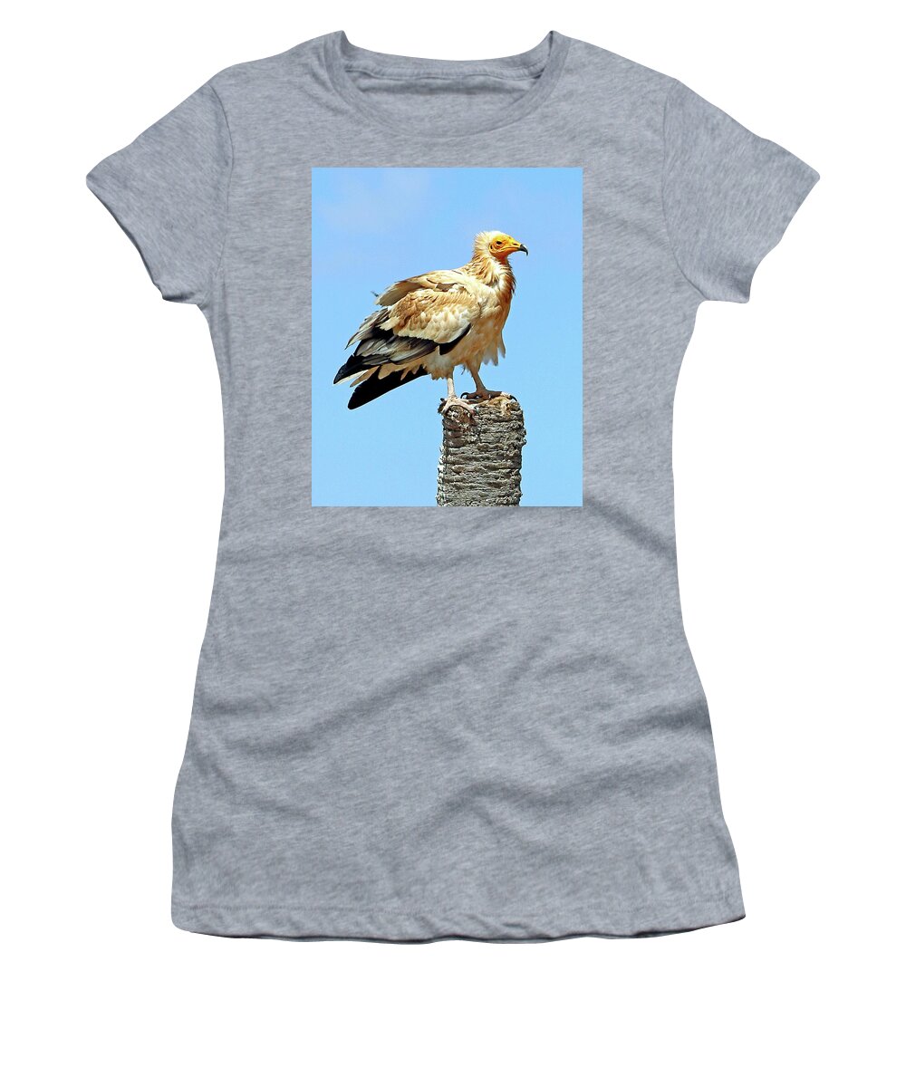  Women's T-Shirt featuring the photograph Birds 57 by Eric Pengelly