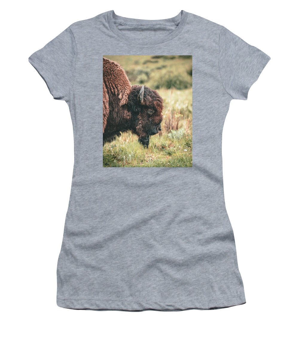  Women's T-Shirt featuring the photograph Bison in Montana by William Boggs