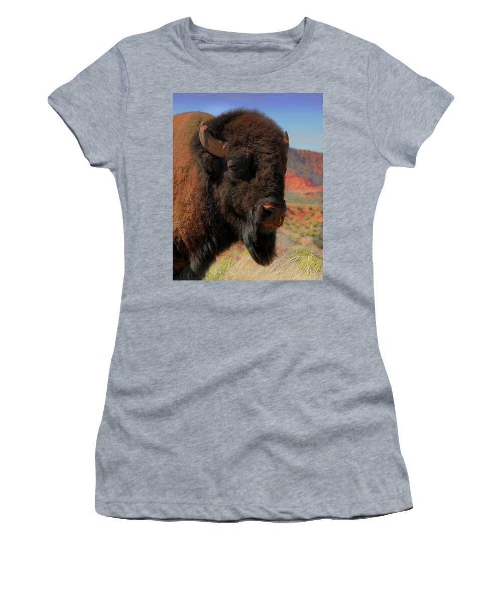 Bison Women's T-Shirt featuring the photograph Bison Portrait by Pam Rendall