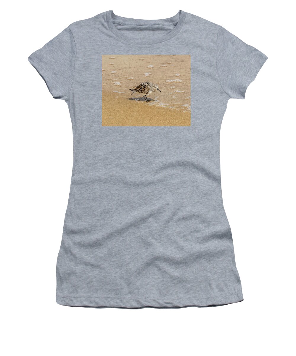 Bird Women's T-Shirt featuring the photograph Sandpiper by Dale R Carlson