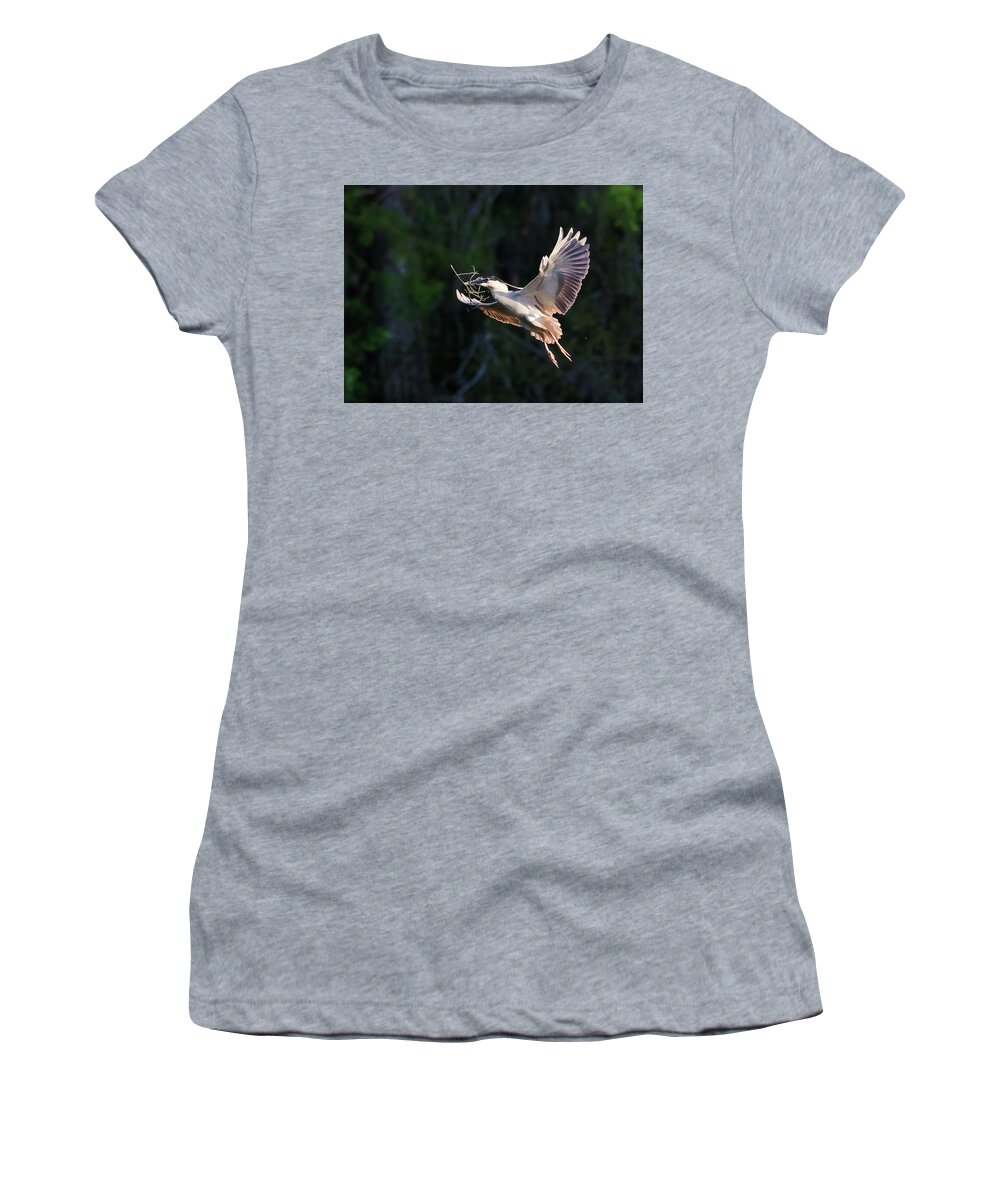  Women's T-Shirt featuring the photograph Black Crowned Nightheron Nest Building by Jim Miller