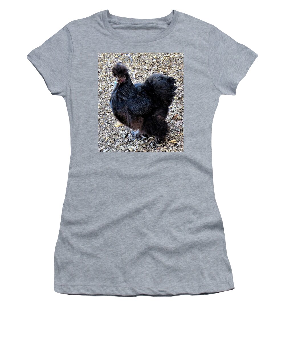 Black Chickens Women's T-Shirt featuring the photograph Black Silkie Bantam by Linda Stern