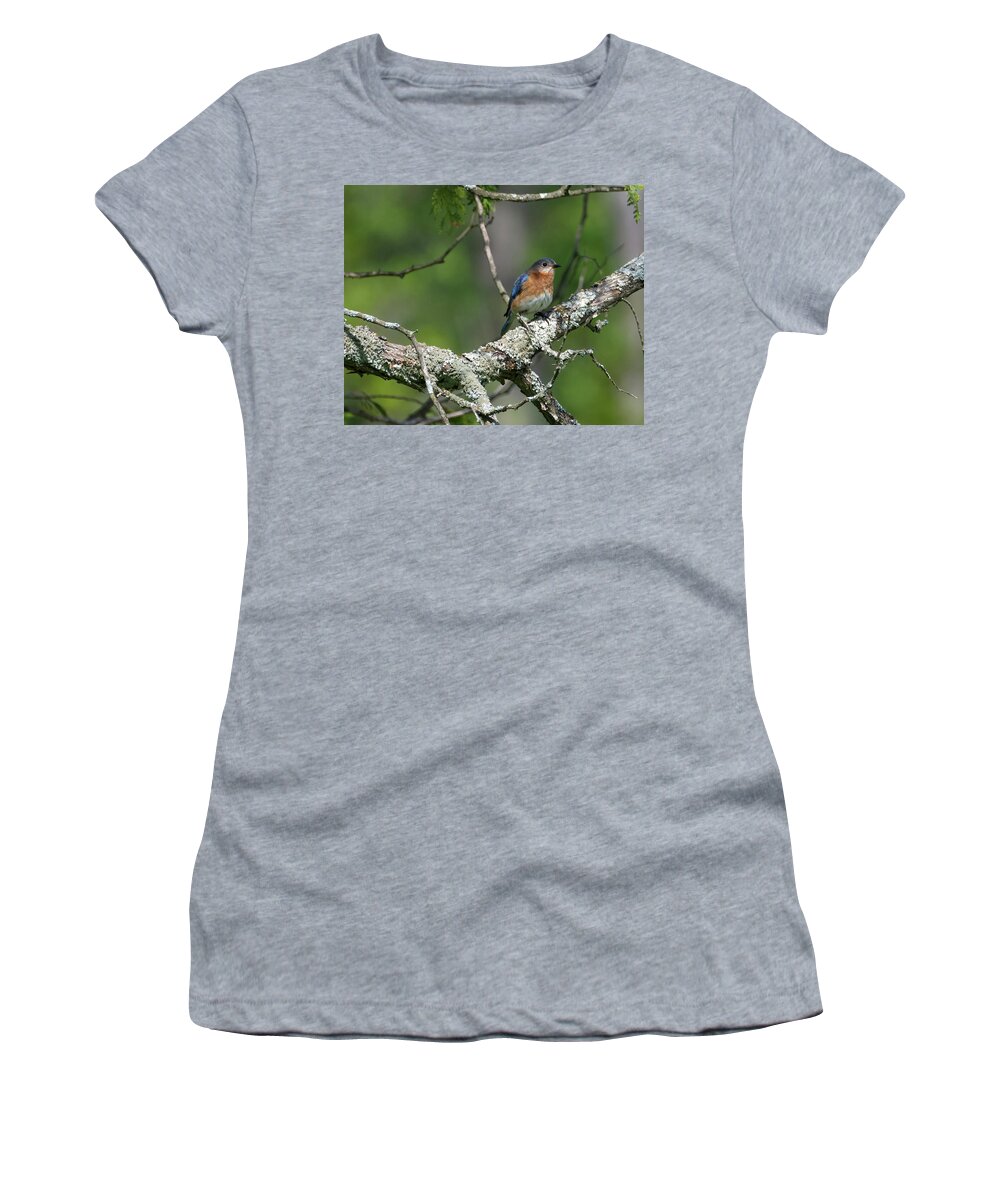 Bird Women's T-Shirt featuring the photograph Blue Bird 1 by Flinn Hackett