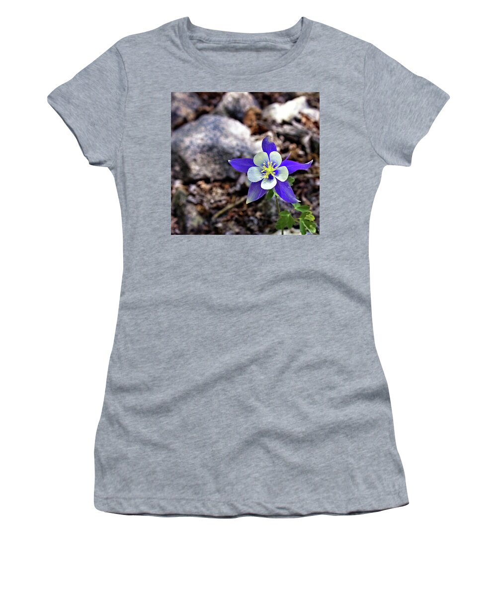 Columbine Women's T-Shirt featuring the photograph Blue Columbine by Bob Falcone