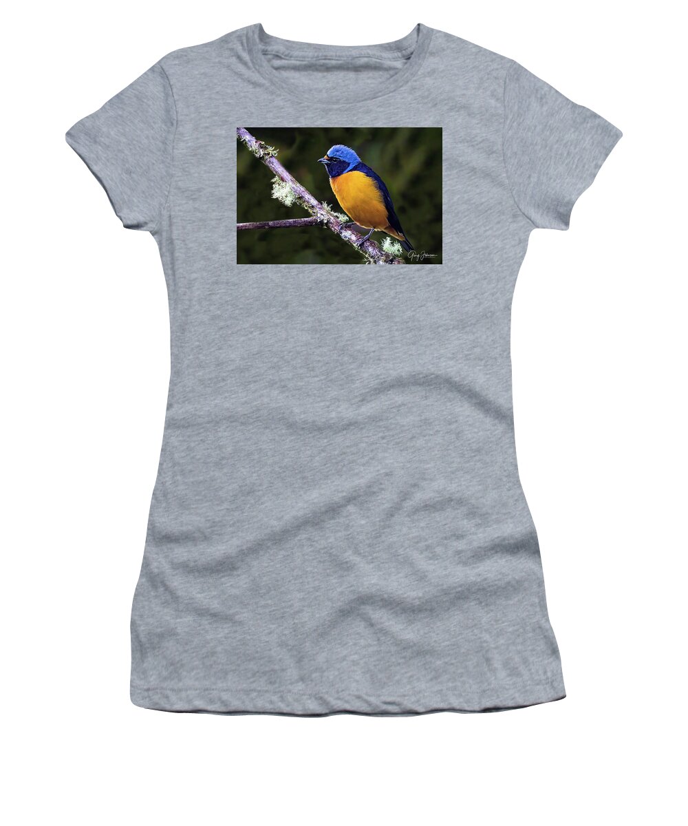 Gary Johnson Women's T-Shirt featuring the photograph Blue-Hooded Euphonia by Gary Johnson
