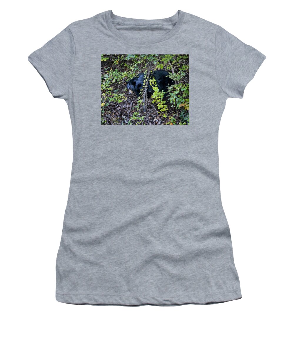 Black Bear Women's T-Shirt featuring the photograph Blue Ridge Black Bear by Ronald Lutz