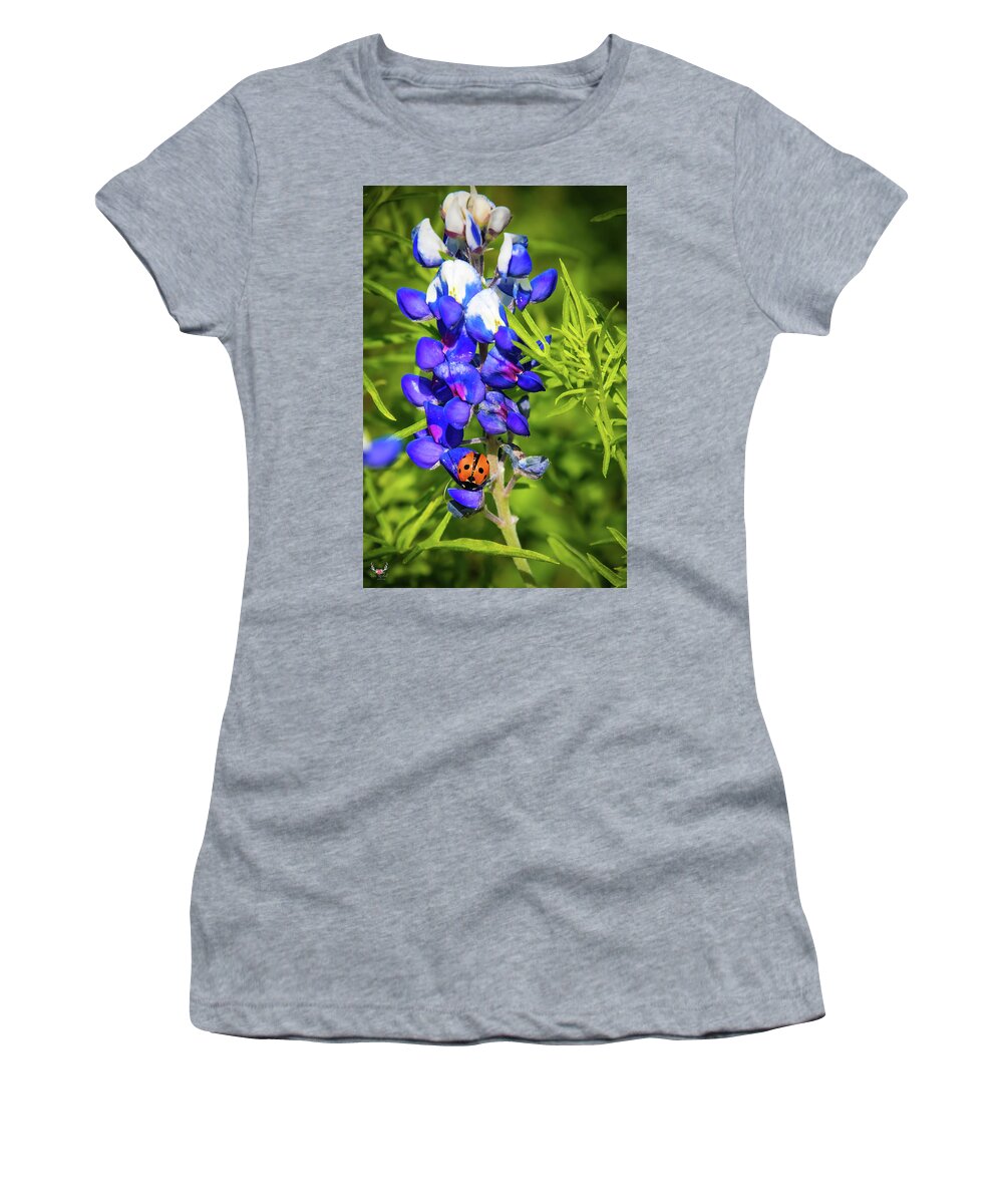 Ladybug Women's T-Shirt featuring the photograph Bluebonnet Visitor by Pam Rendall