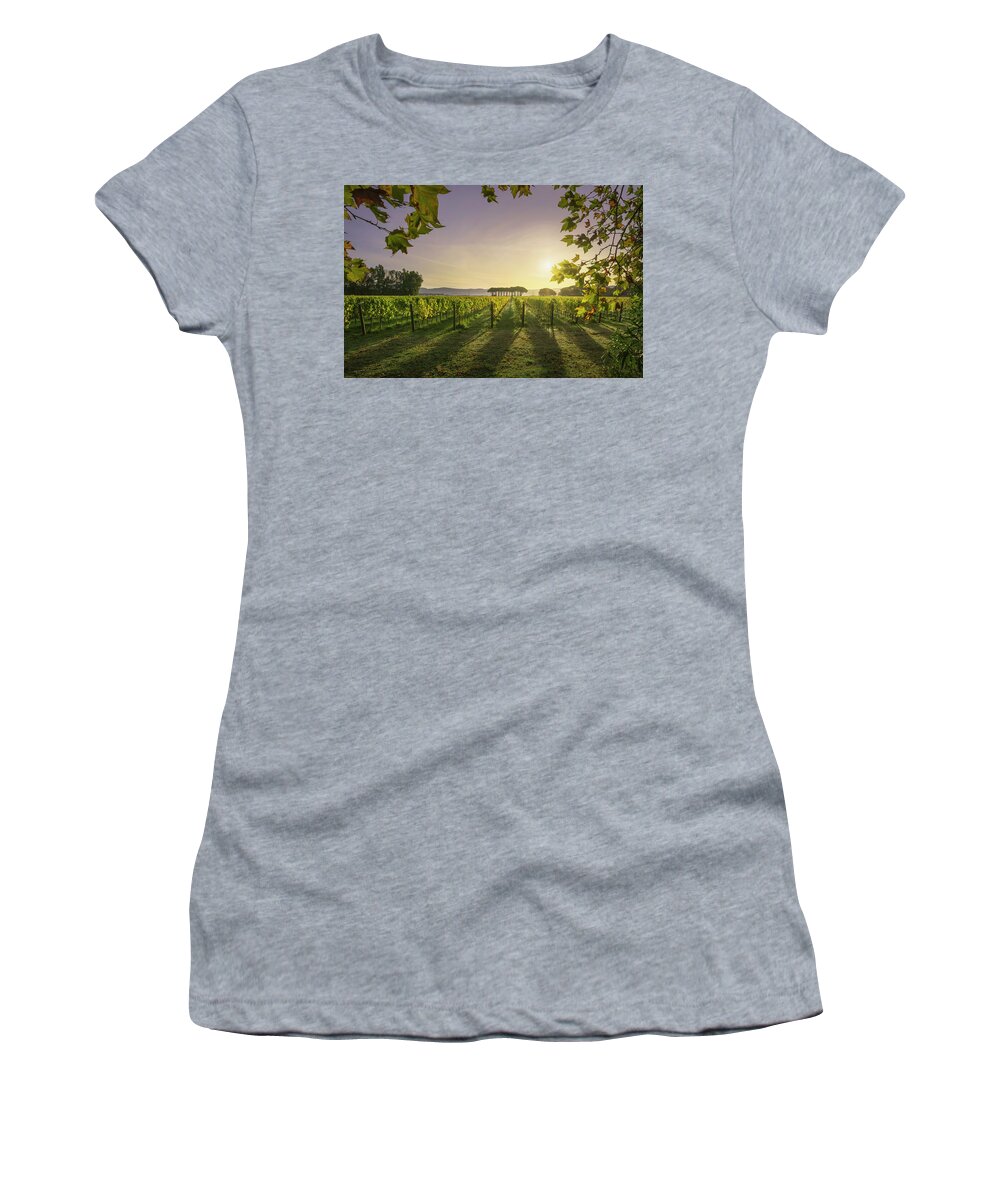 Bolgheri Women's T-Shirt featuring the photograph Bolgheri vineyard and pine trees at sunrise. Tuscany, by Stefano Orazzini