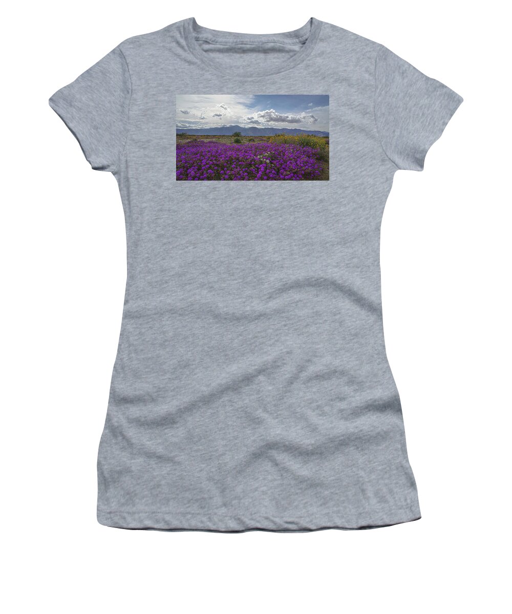 Verbena Women's T-Shirt featuring the photograph Borrego Springs in San Diego County Wildflowers by Matthew Bamberg