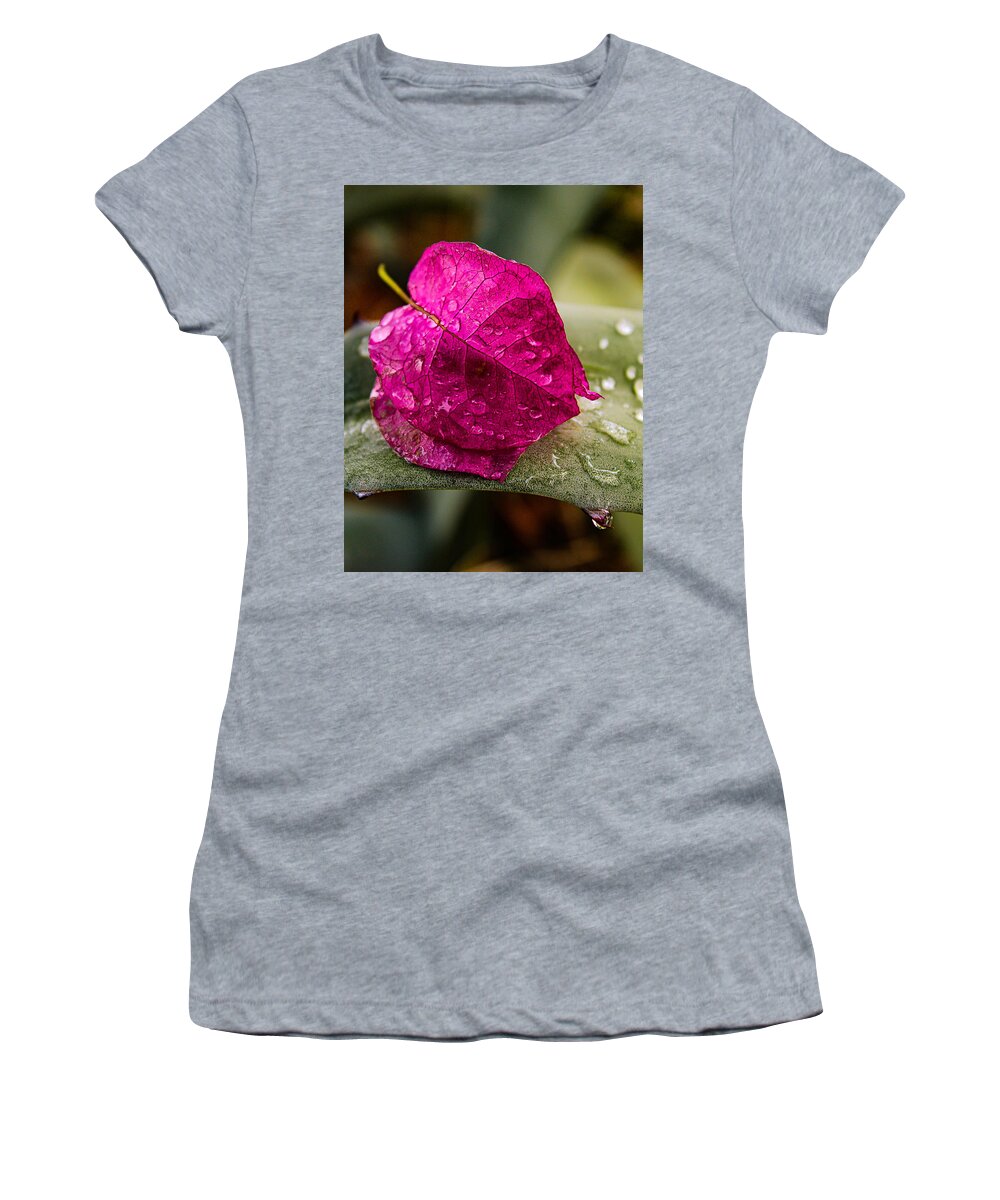 Bougainvillea Spectabilis Women's T-Shirt featuring the photograph Bougainvillea Bract on Agave by W Craig Photography