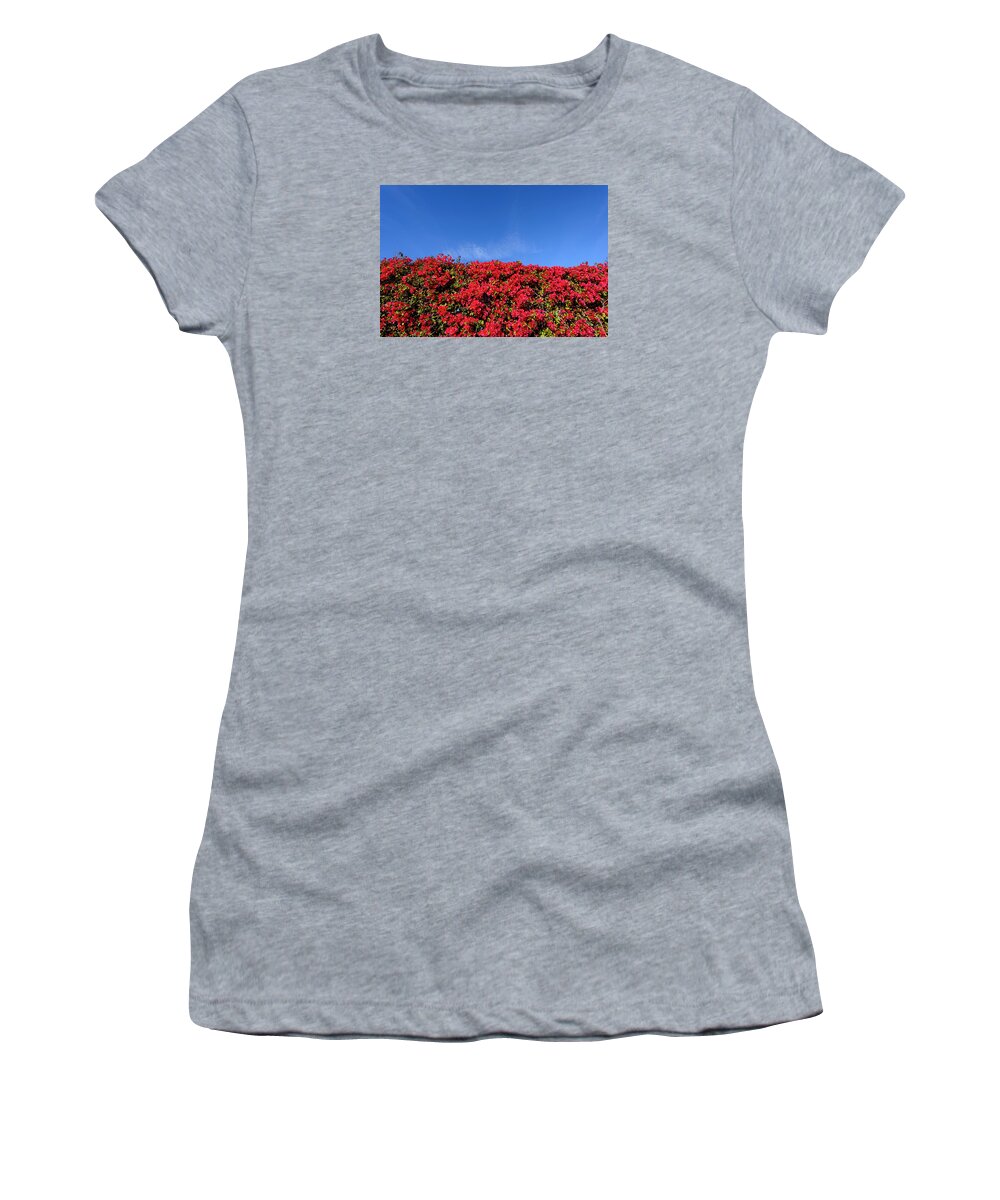 Blue Sky Women's T-Shirt featuring the photograph Bougainvillea Palm Springs California 0437 by Amyn Nasser