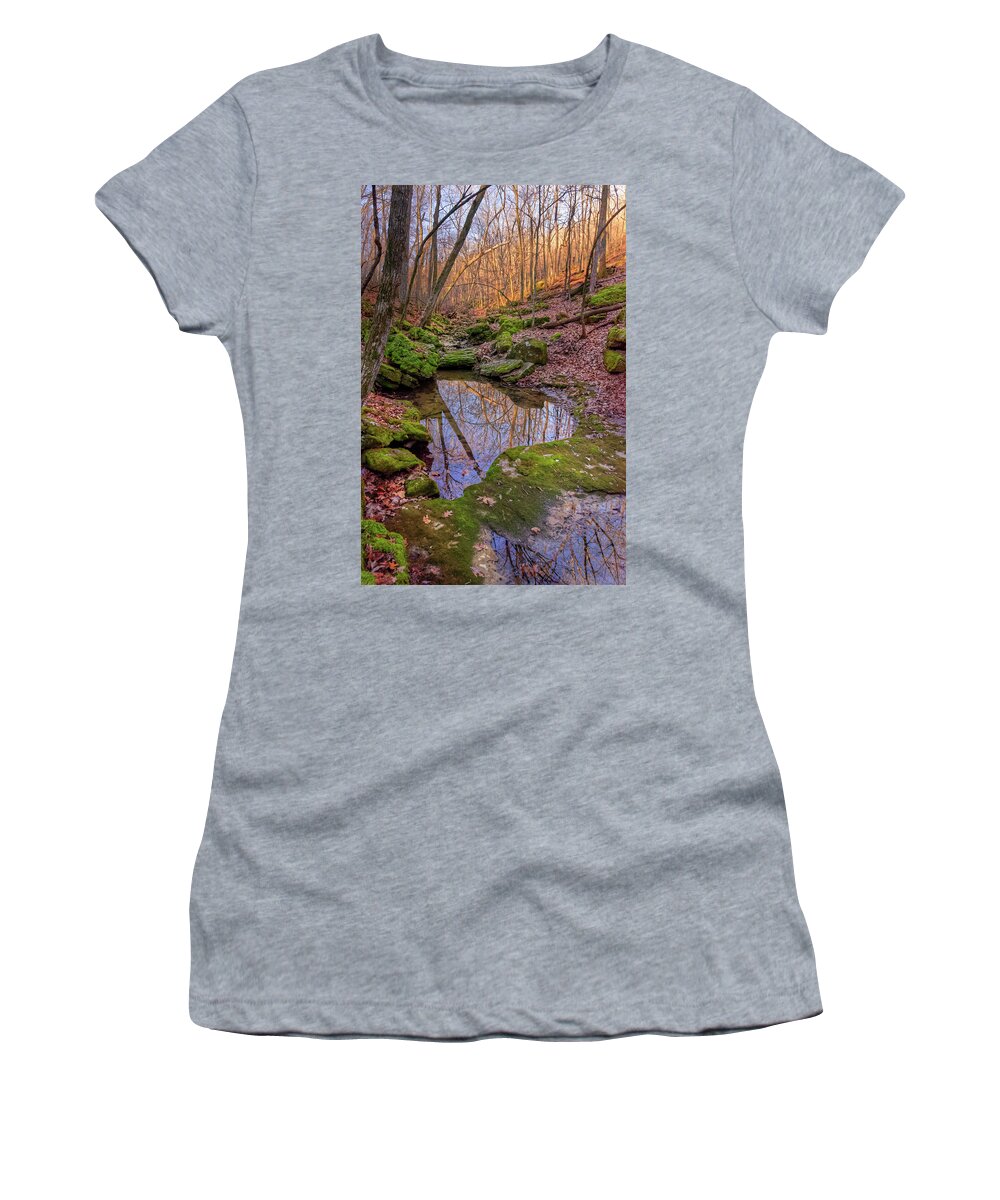 Magnolia Hollow Conservation Area Women's T-Shirt featuring the photograph Brickey Hills Natural Area by Robert Charity