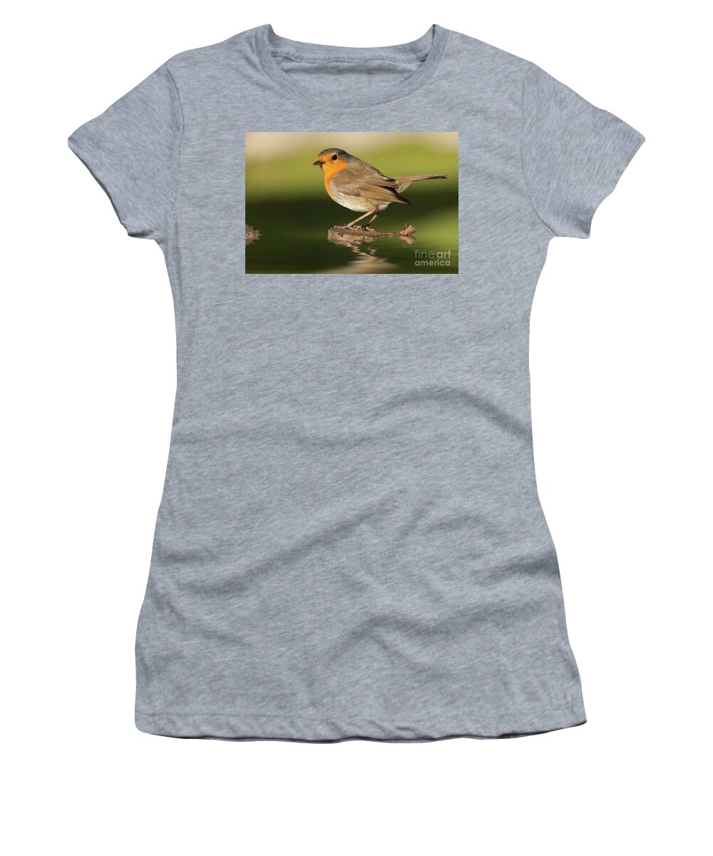 Bird Women's T-Shirt featuring the photograph British robin redbreast close up on water by Simon Bratt