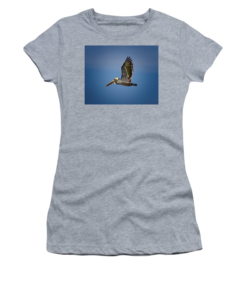 Brown Pelican Women's T-Shirt featuring the photograph Brown Pelican looking for Fish by Ronald Lutz