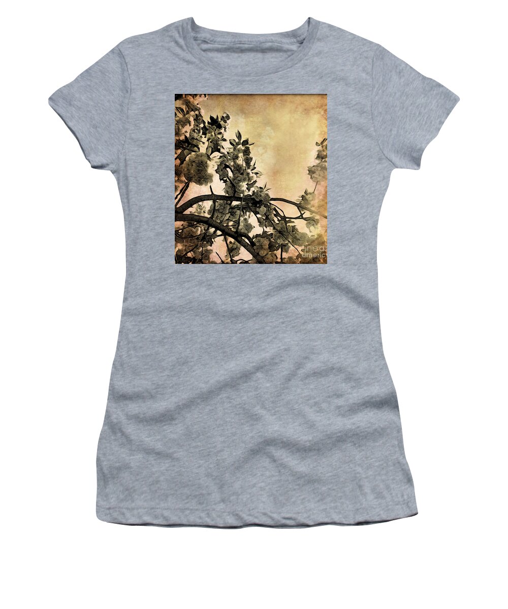 Cherry Blossoms Women's T-Shirt featuring the photograph Brushed Cherry Blossoms by Onedayoneimage Photography