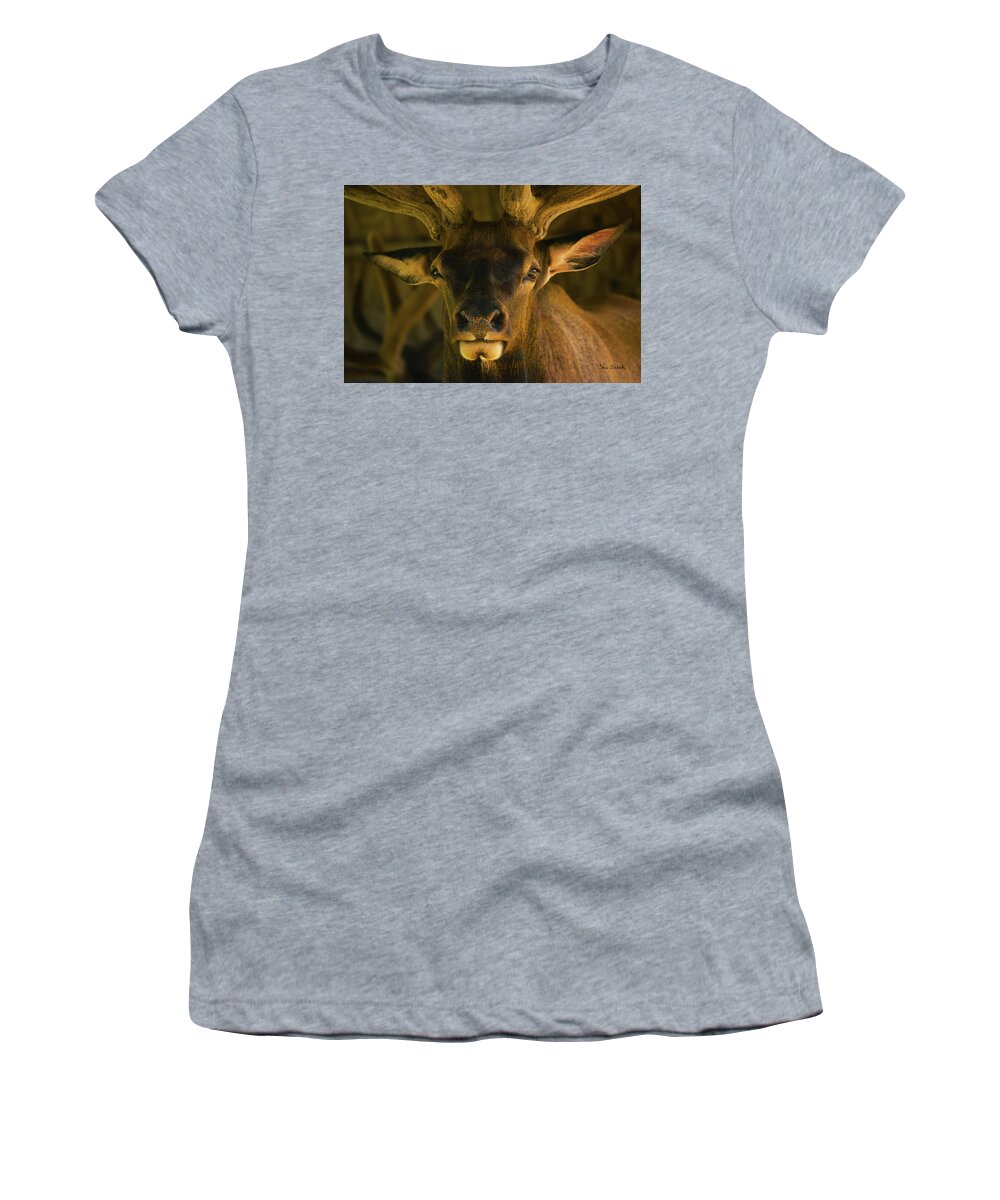 Elk Women's T-Shirt featuring the photograph Bull's Eye by Chris Busch