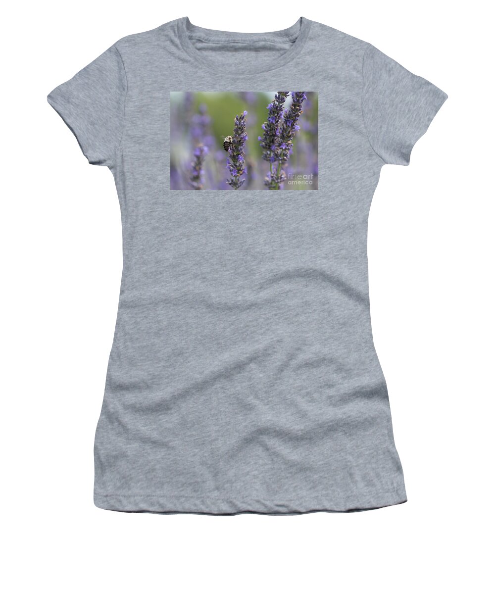 Bee Women's T-Shirt featuring the photograph Bumblebee on Lavender I by Lorraine Cosgrove