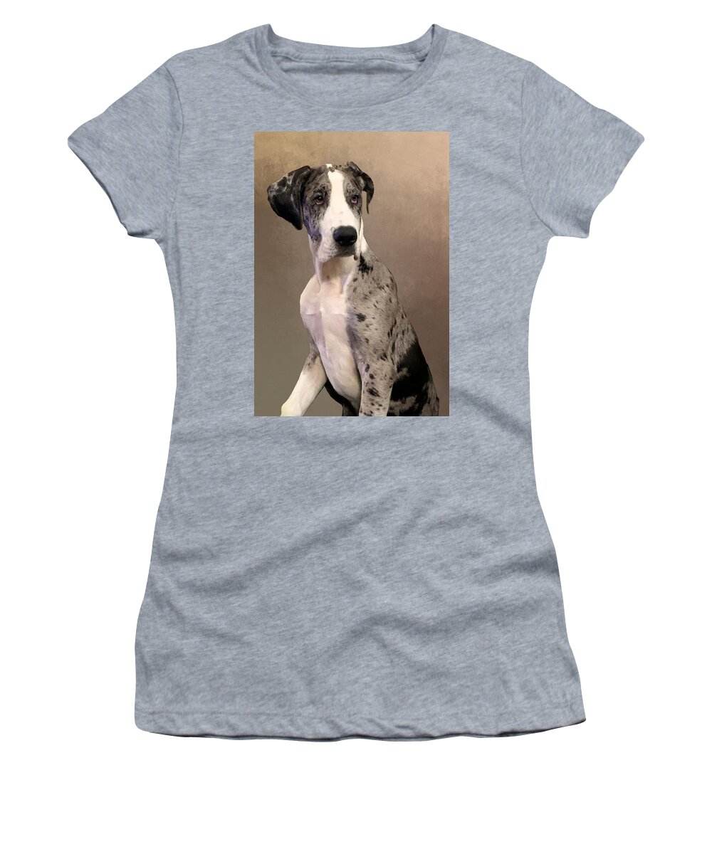 Dane Women's T-Shirt featuring the photograph Buster - Paintography by Anthony Jones