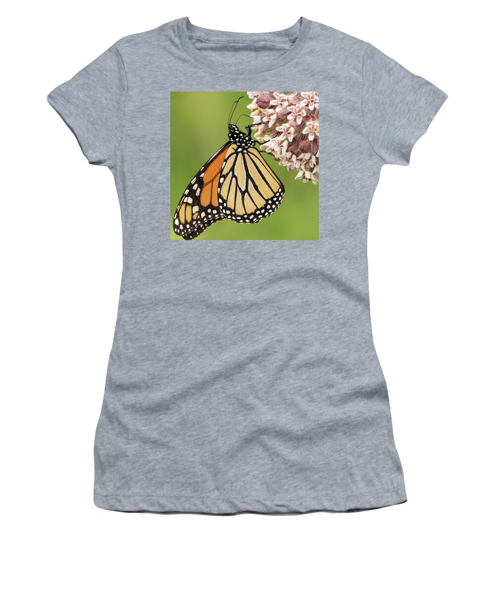 Butterfly Pink Flower Women's T-Shirt featuring the photograph Butterfly on a Pink Flower by David Morehead