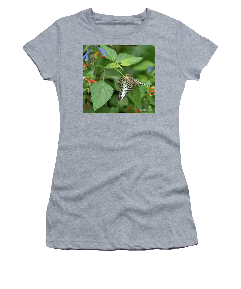 Butterfly Women's T-Shirt featuring the photograph Butterfly on leaf by Cathy Donohoue