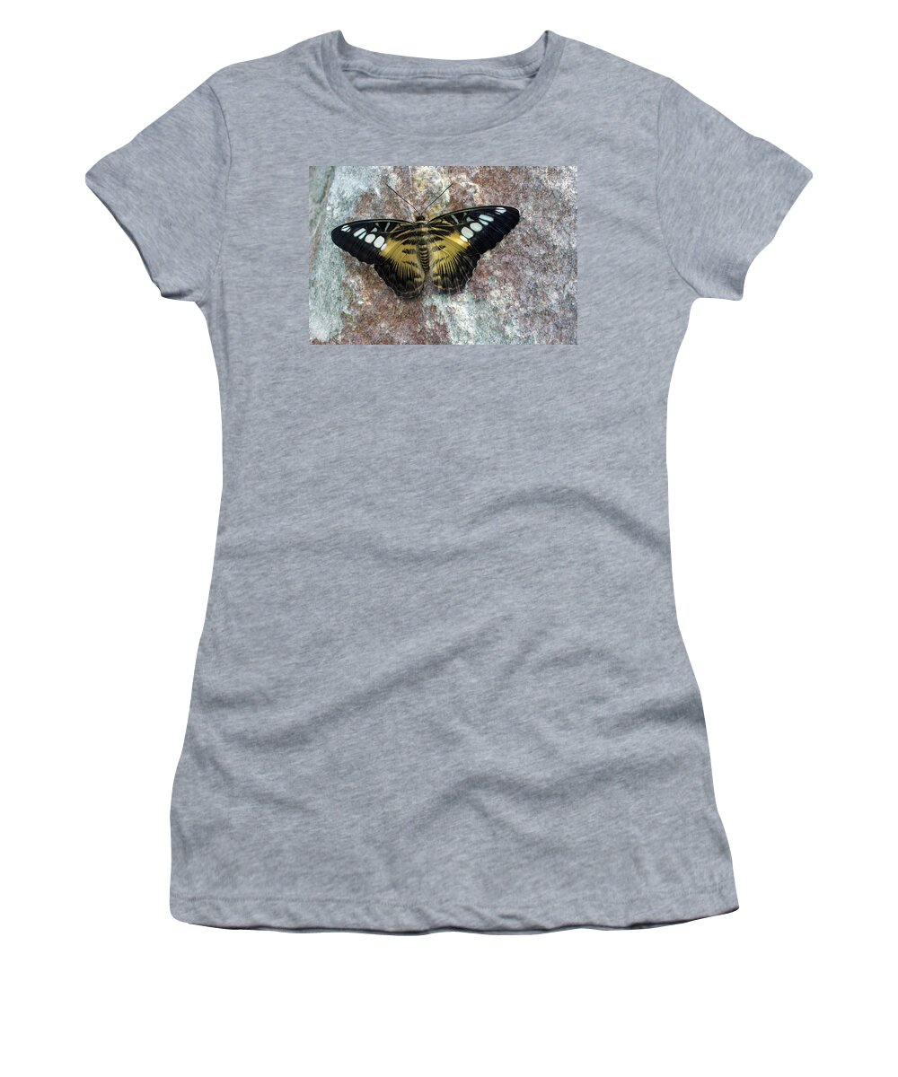 Butterfly Women's T-Shirt featuring the photograph Butterfly6201 by Carolyn Stagger Cokley