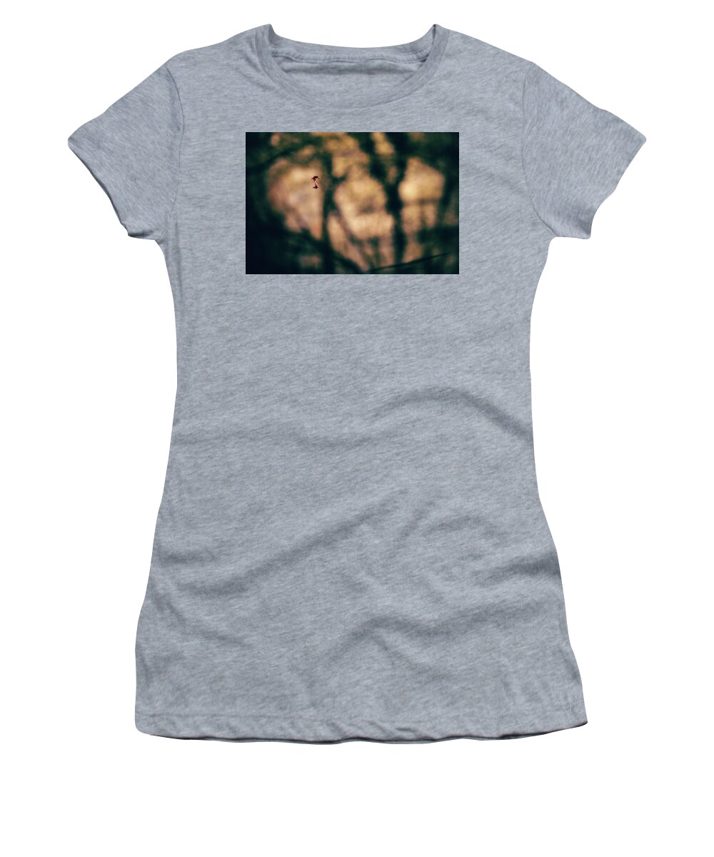 Forest Women's T-Shirt featuring the photograph By a thread by Gavin Lewis