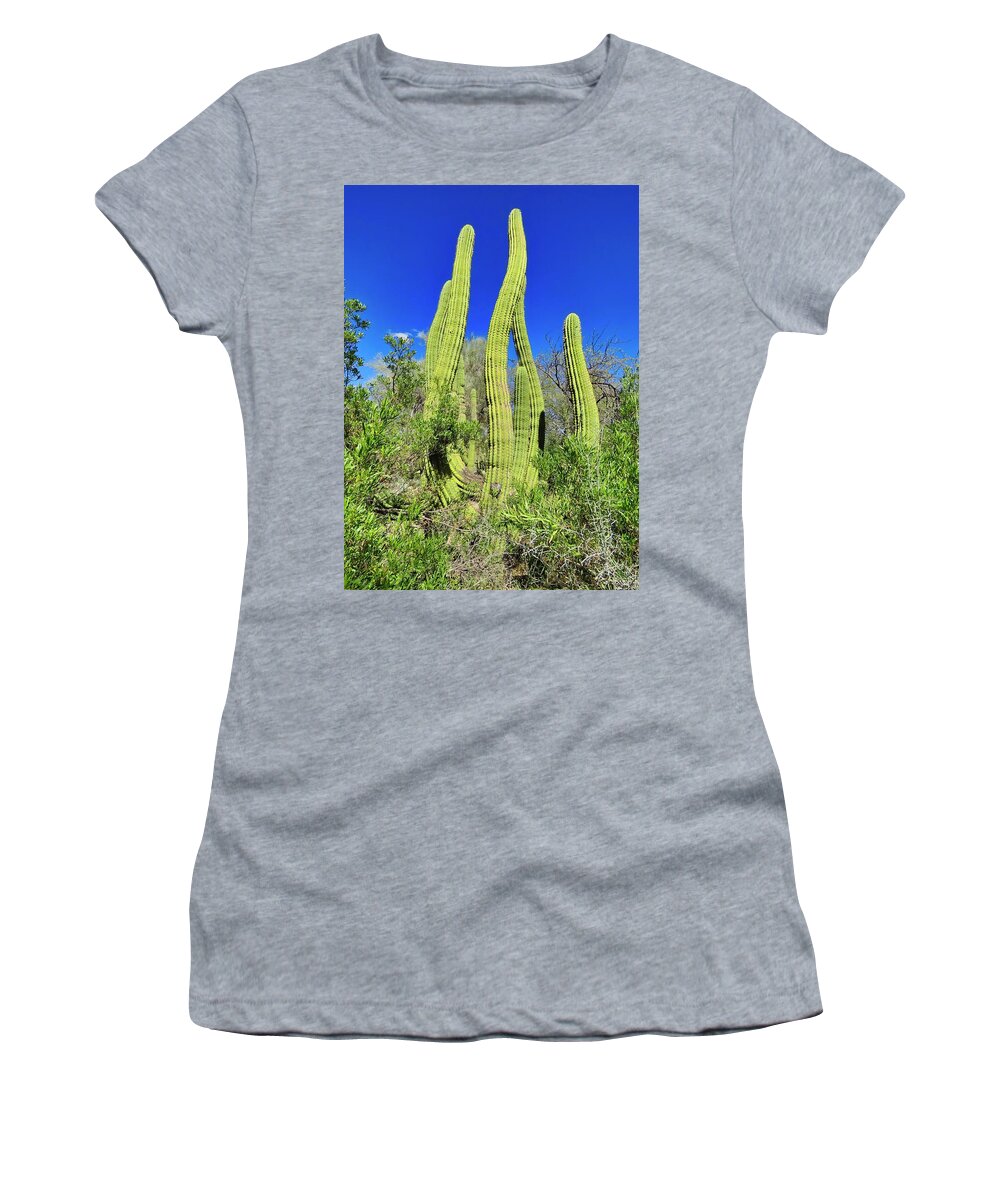 Icon Women's T-Shirt featuring the photograph Cactus Sway by Judy Kennedy