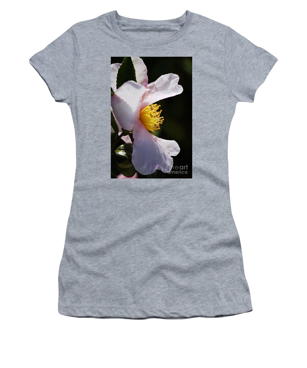 Ericales Women's T-Shirt featuring the photograph Camellia Her Side Profile by Joy Watson