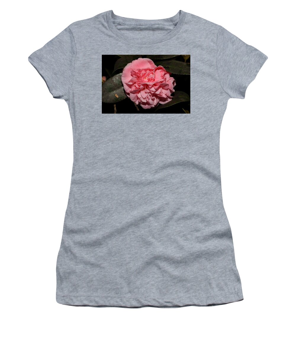 Camellia Women's T-Shirt featuring the photograph Camellia X by Mingming Jiang