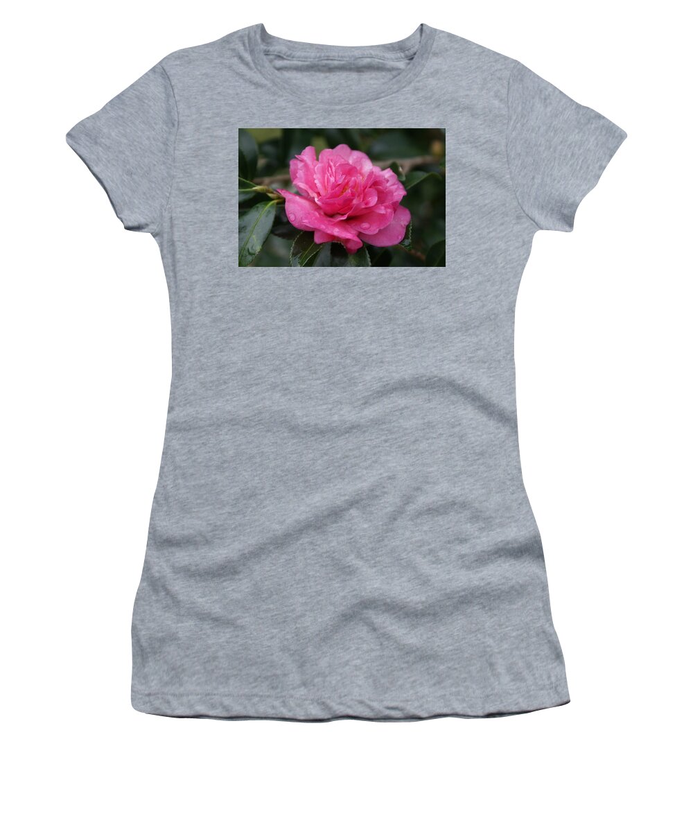  Women's T-Shirt featuring the photograph Camilla Flower by Heather E Harman