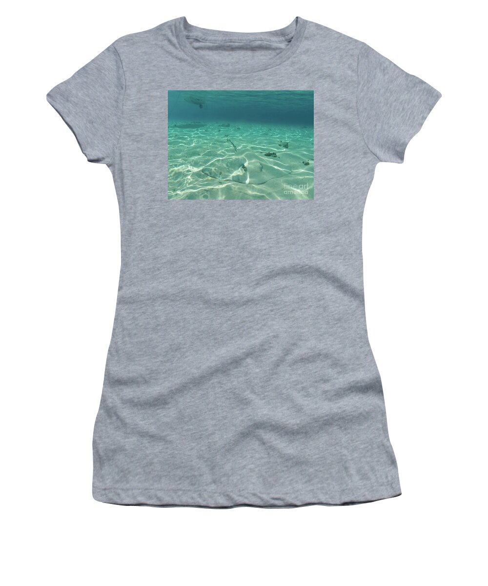 Ocean Women's T-Shirt featuring the photograph Camoflauged stingray by Ed Stokes