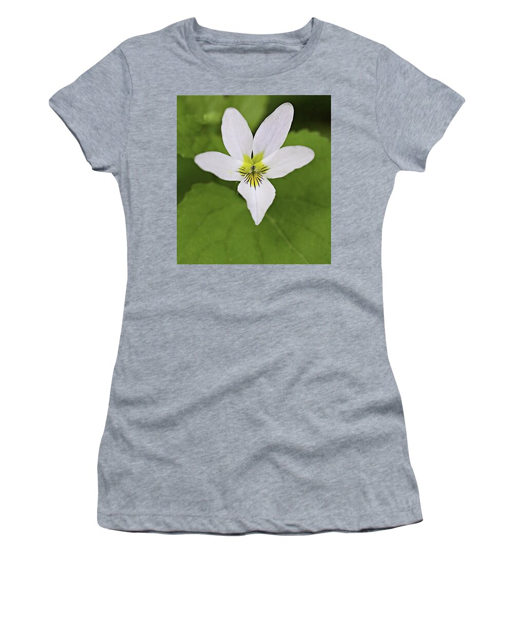 Canada Violet Women's T-Shirt featuring the photograph Canada Violet by Bob Falcone
