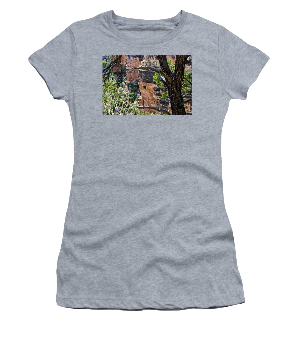 Grand Women's T-Shirt featuring the photograph Canyon Behind Tree by Gordon Sarti