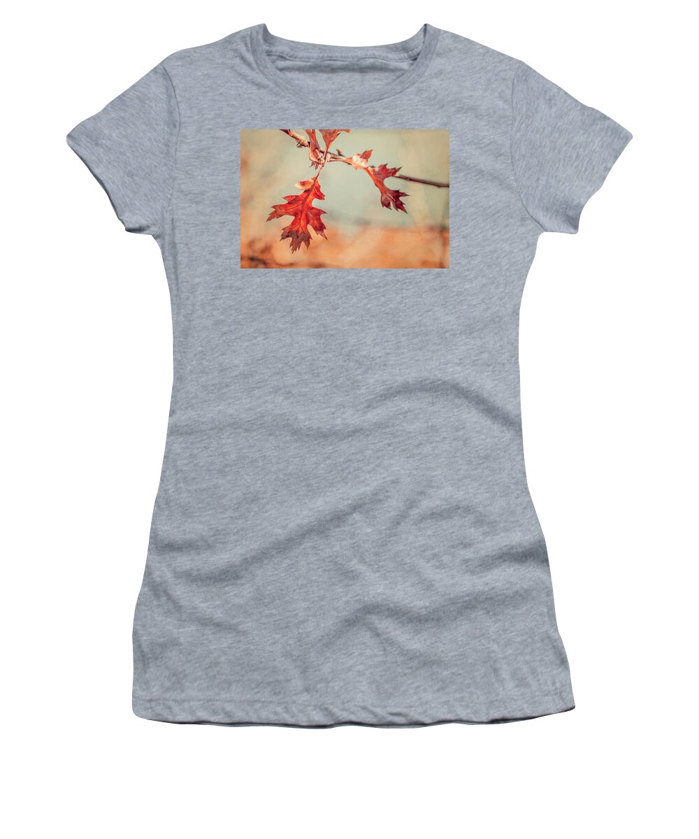 Cape Cod Women's T-Shirt featuring the photograph Cape Cod Oak Leaves in Autumn by Brooke T Ryan