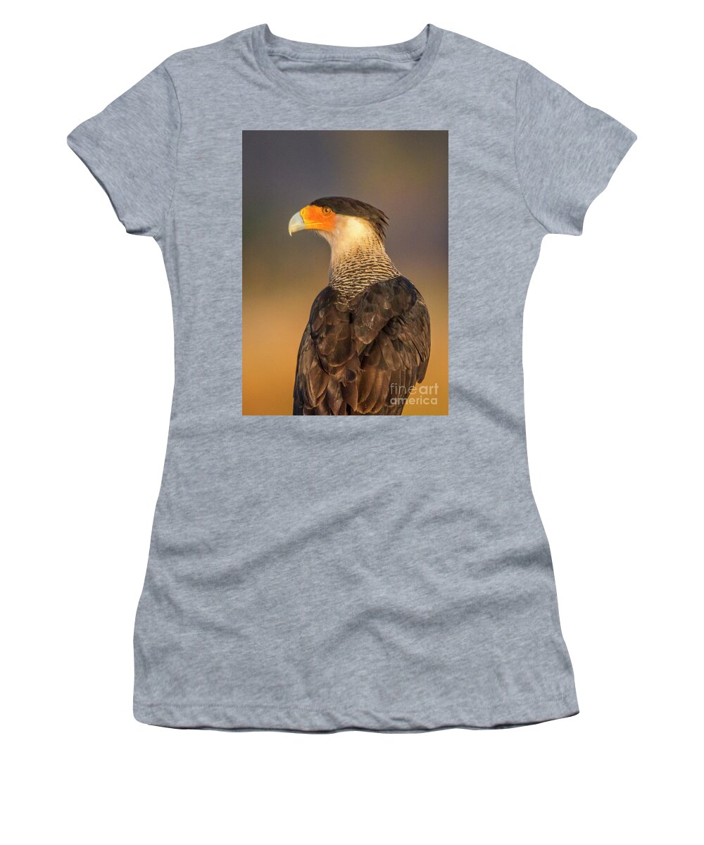 Caracara Women's T-Shirt featuring the photograph Caracara Over Shoulder Look by Tom Claud