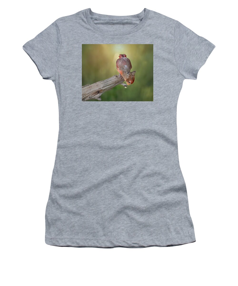 Cardinal Women's T-Shirt featuring the photograph Cardinal at Water Drip by Cheri Freeman