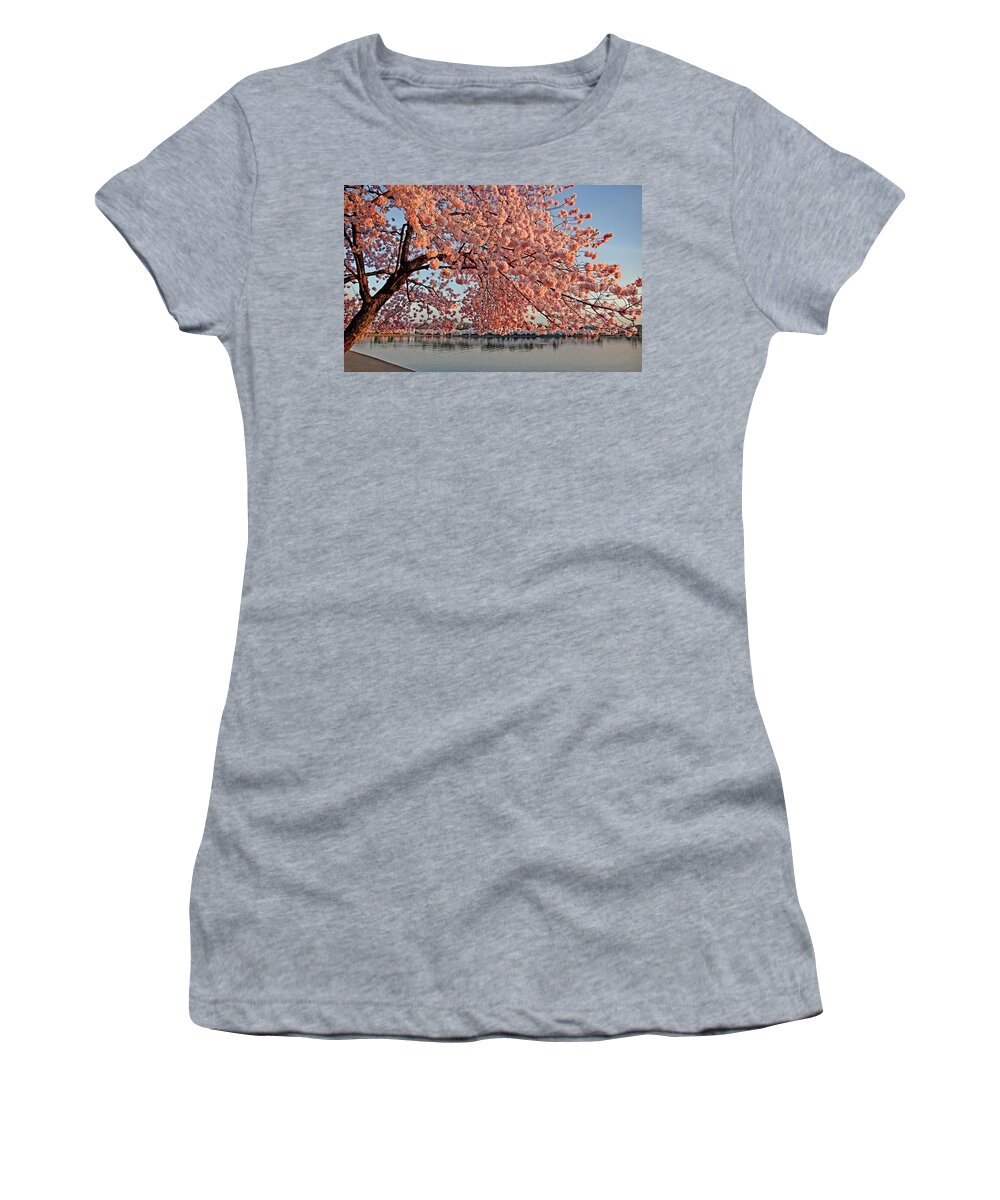 Cherry Blossom Trees Women's T-Shirt featuring the photograph Cascade of Pink by Suzanne Stout