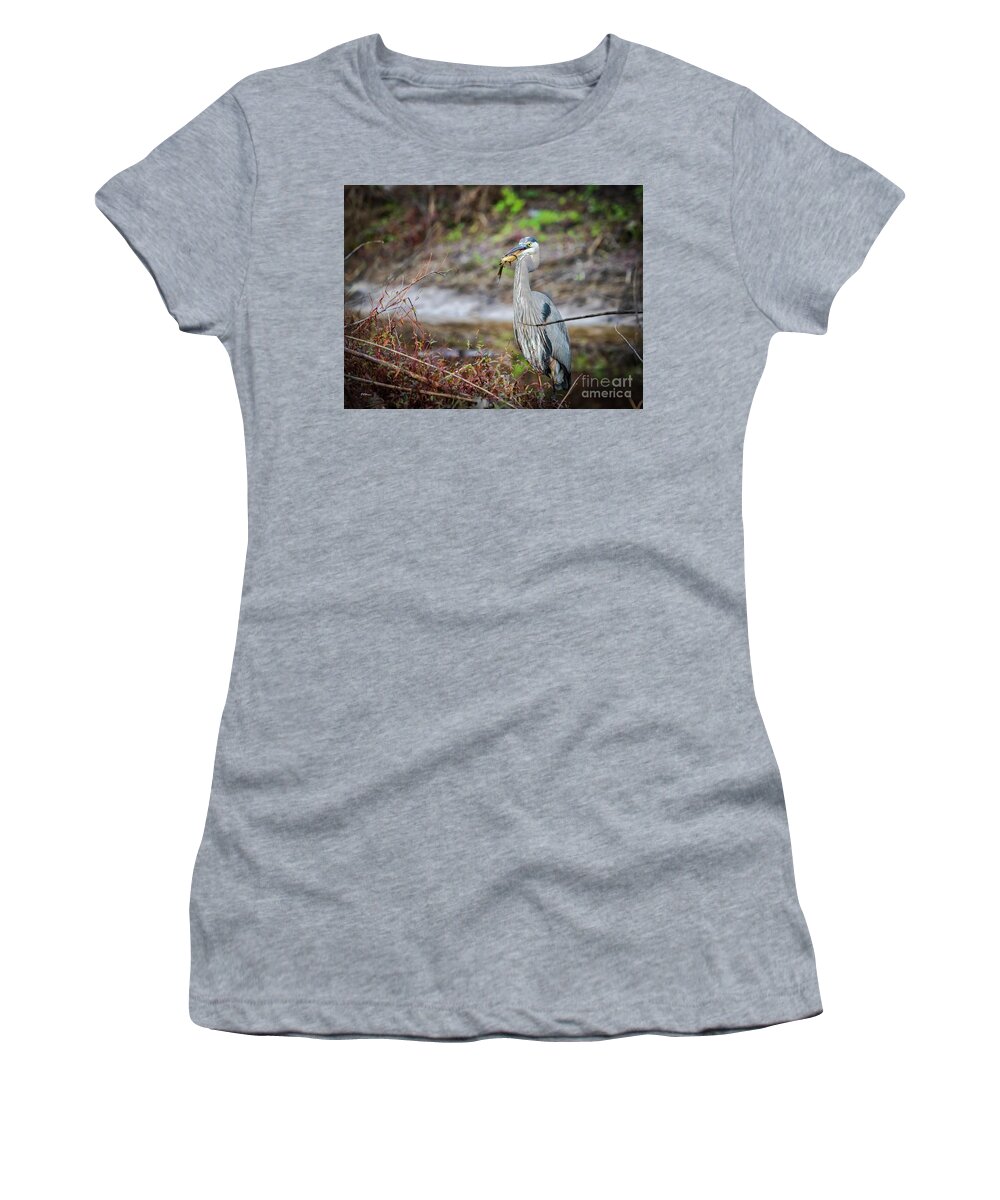 Wildlife Women's T-Shirt featuring the photograph Catfishing by DB Hayes