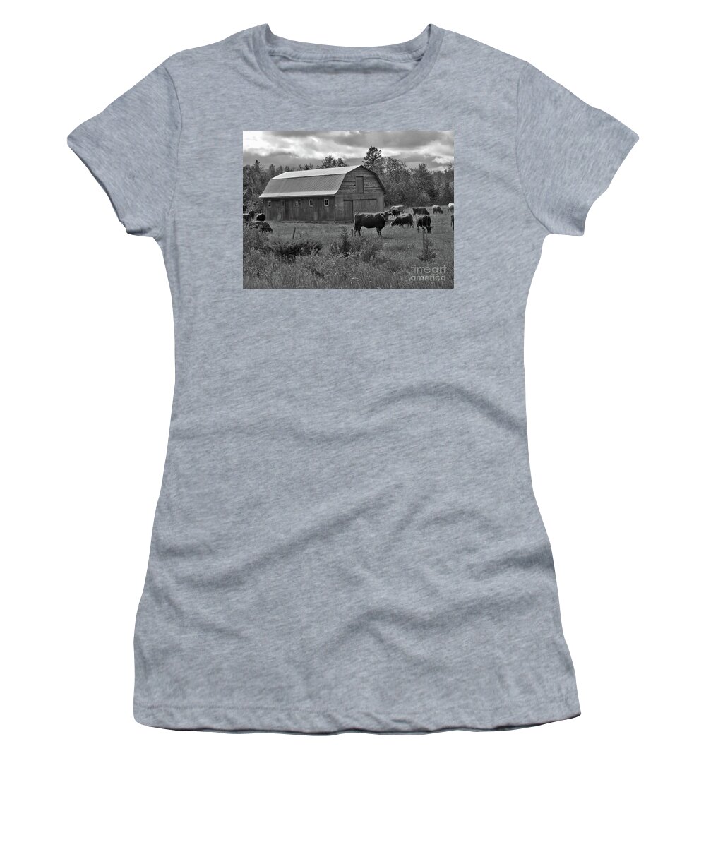 Canada Women's T-Shirt featuring the photograph Cattle Farm by Mary Mikawoz
